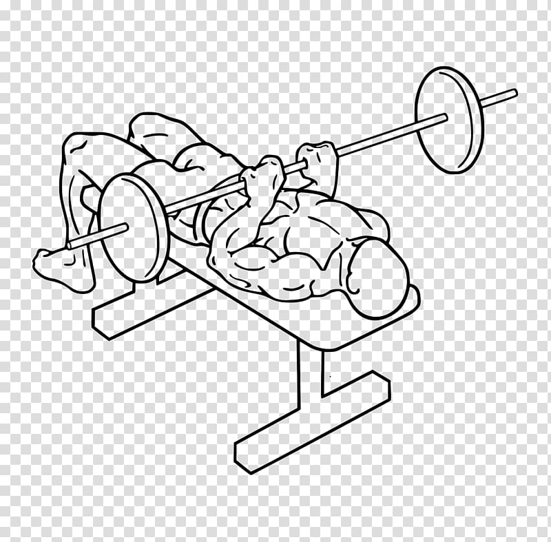 Bench press Triceps brachii muscle Exercise Lying triceps extensions, barbell transparent background PNG clipart