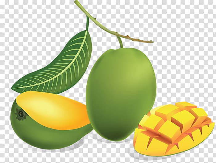 Mango , Forgetmenot transparent background PNG clipart