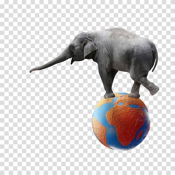 Elephant Performance Circus, Creative elephant foot Earth transparent background PNG clipart