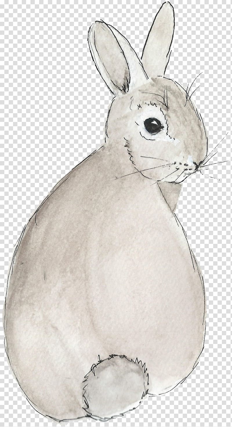 Easter Bunny Domestic rabbit Hare Vertebrate, watercolor bunny transparent background PNG clipart