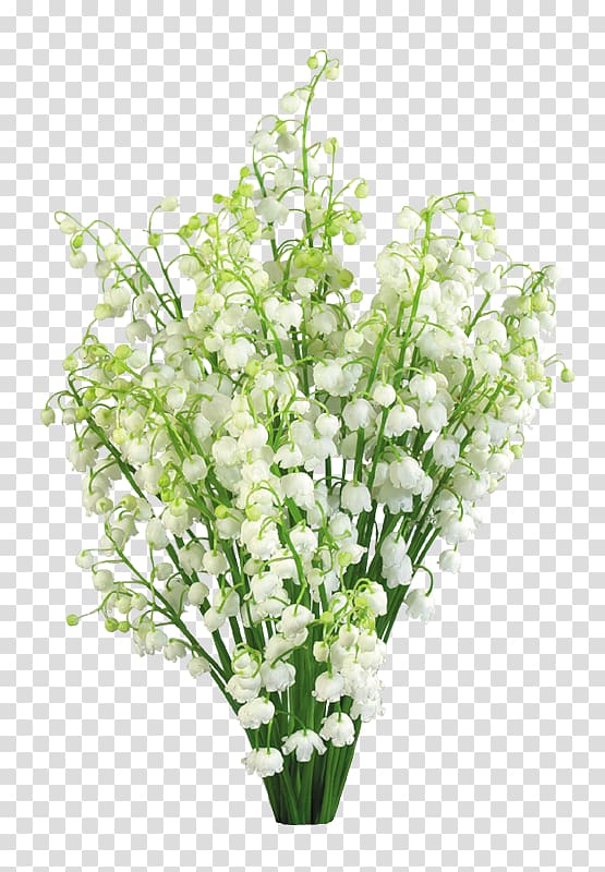 Lily of the valley Lilium Flower , lily of the valley transparent background PNG clipart