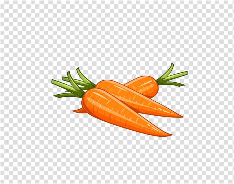 Carrot Drawing Illustration, Hand-painted carrot transparent background PNG clipart