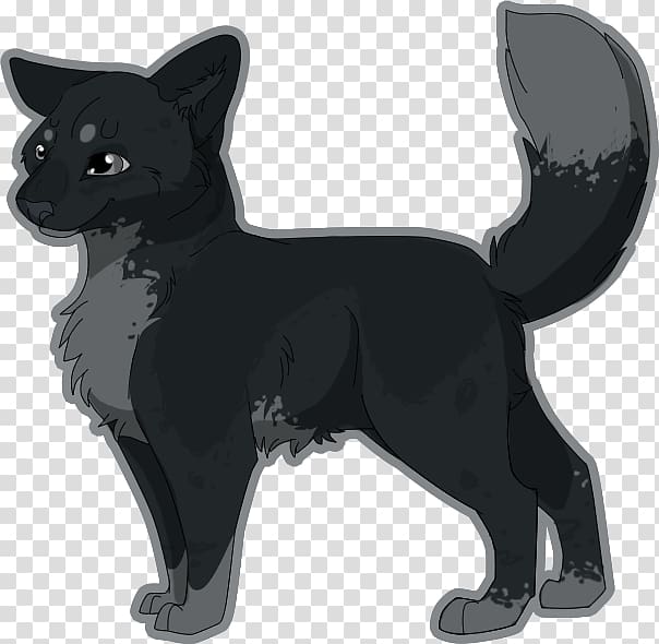 Schipperke Whiskers Cat Dog breed, Cat transparent background PNG clipart