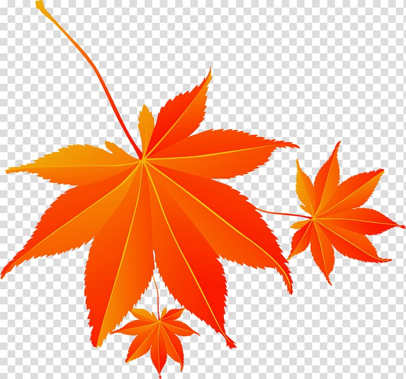 Maple leaf Cartoon, Red autumn maple leaf electricity supplier transparent background PNG clipart