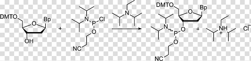 N,N-Diisopropylethylamine Nucleoside phosphoramidite Diisopropylamine Reaction mechanism Chemical reaction, others transparent background PNG clipart