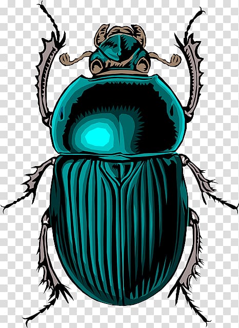Scarab Dung beetle , Ferny Is A Bug transparent background PNG clipart