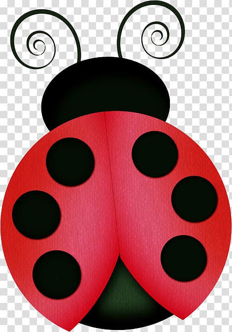 ladybug PNG image transparent image download, size: 3118x2692px