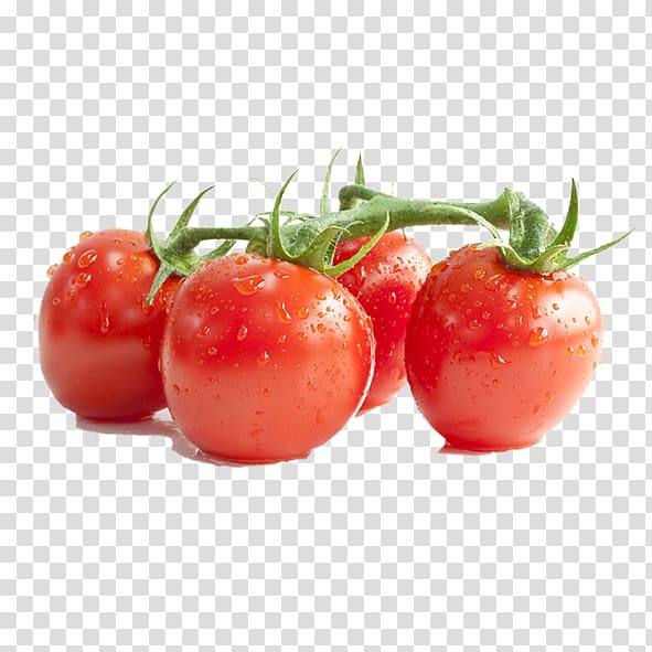 four red tomatoes, Lycopene Cherry tomato Tomato paste Tomato extract Tomato sauce, tomato transparent background PNG clipart