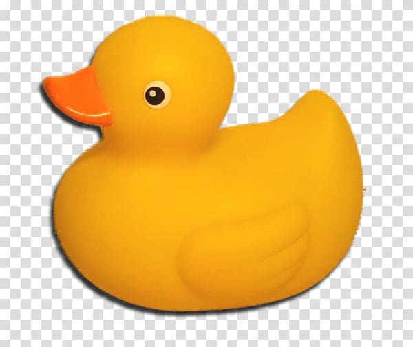 Rubber duck transparent background PNG clipart