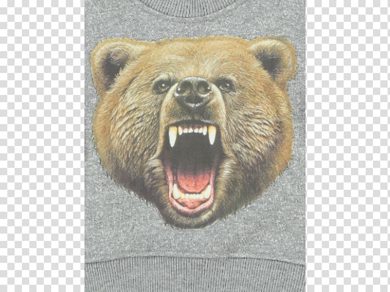Grizzly bear Kodiak bear Alaska Peninsula brown bear Bear attack, bear transparent background PNG clipart