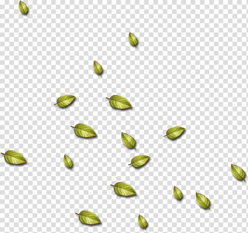 Florida Commodity, Beet Leaves transparent background PNG clipart