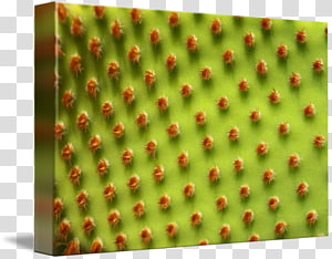 Handbag Straw Woman Lining, bag transparent background PNG clipart thumbnail