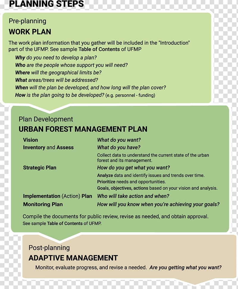 Planning Forest management, forest transparent background PNG clipart