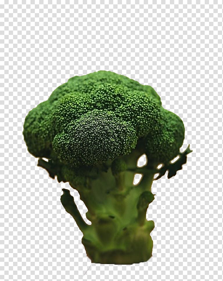 Broccoli Vegetable Food Diet , Product kind broccoli transparent background PNG clipart