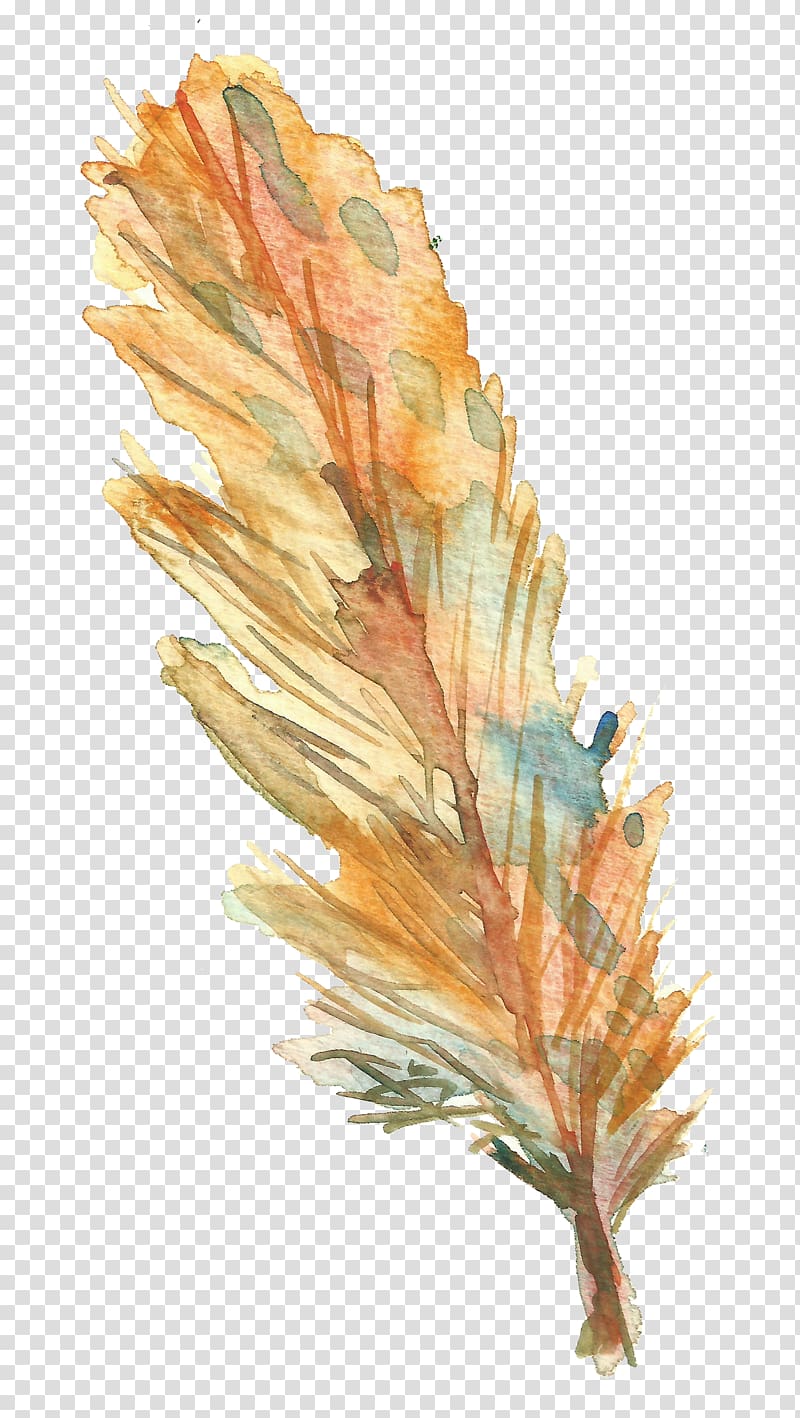 Bird Feather Drawing, Yellow Feather transparent background PNG clipart