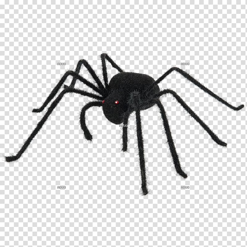 Spider web Color Halloween Black, spider transparent background PNG clipart