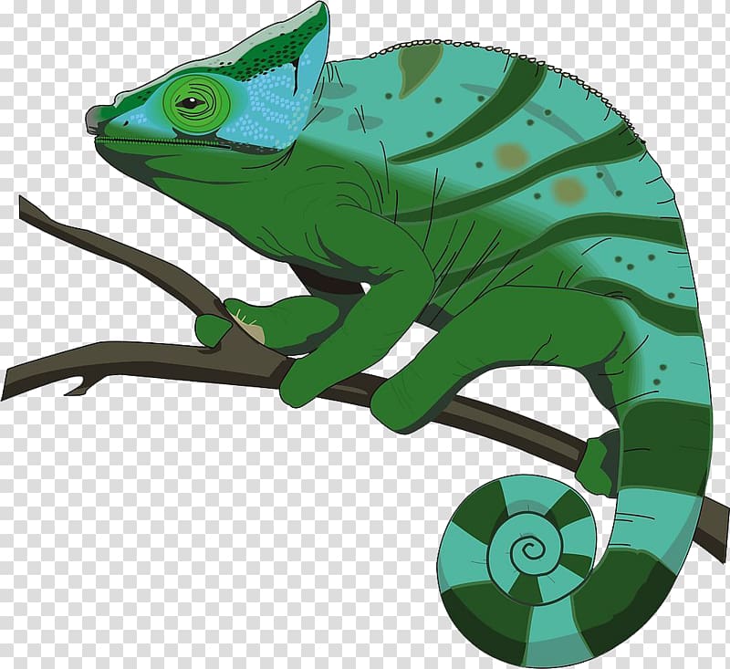 Chameleons .xchng , Painted green chameleon transparent background PNG clipart