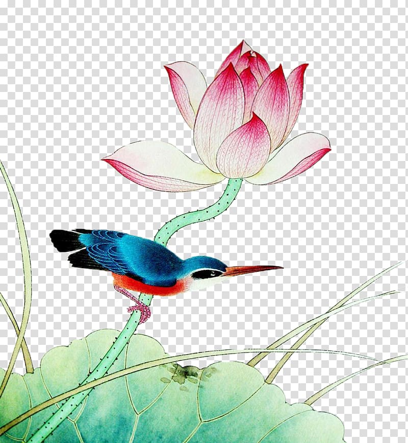 Gongbi Chinese painting Nelumbo nucifera Ink wash painting Bird-and-flower painting, Hand-painted lotus transparent background PNG clipart