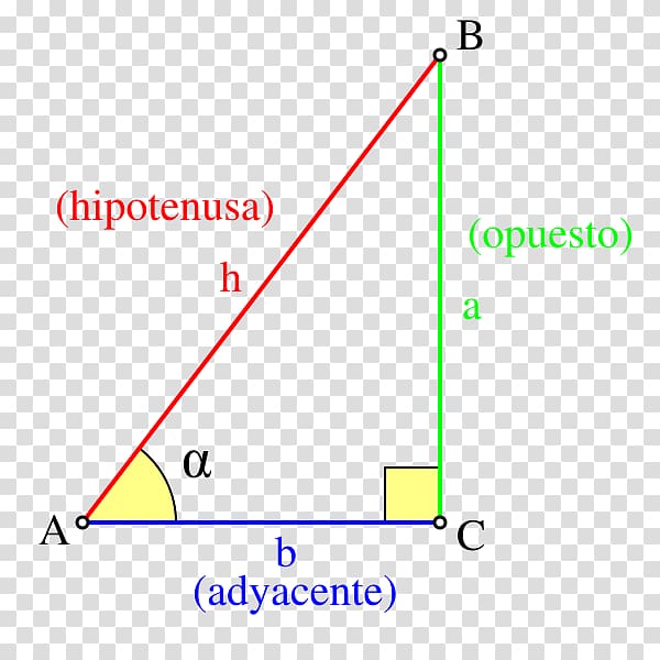 Trigonometric functions Triangle Trigonometry, triangle transparent background PNG clipart