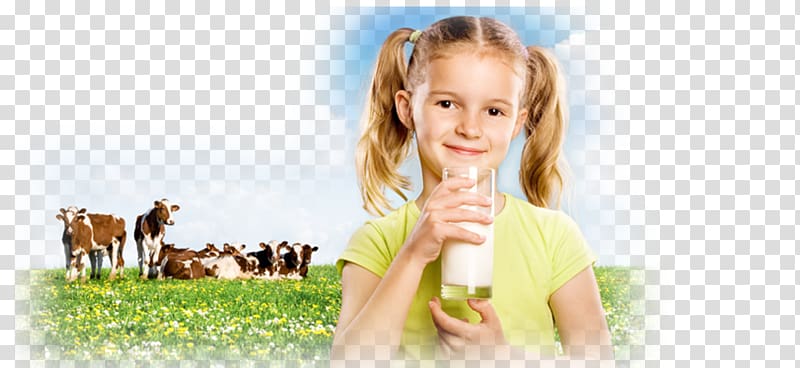 Goat milk Cattle Dairy Products, milk transparent background PNG clipart