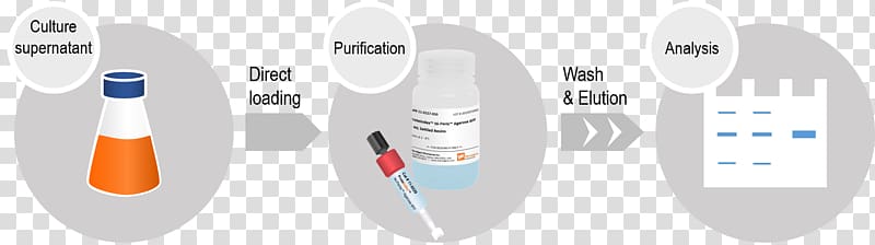 Polyhistidine-tag Nickel Protein tag Agarose, niñas transparent background PNG clipart