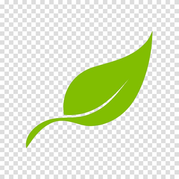 green leaf , Leaf Logo Brand Plant stem, folha transparent background PNG clipart