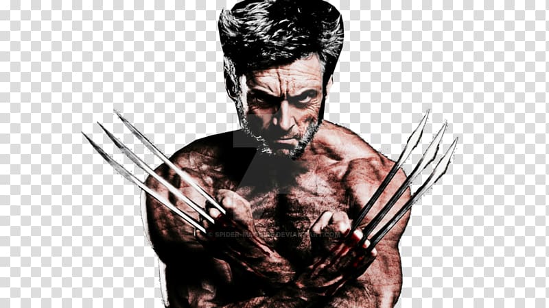 Wolverine Storm X-Men Film Superhero movie, OLD MAN transparent background PNG clipart