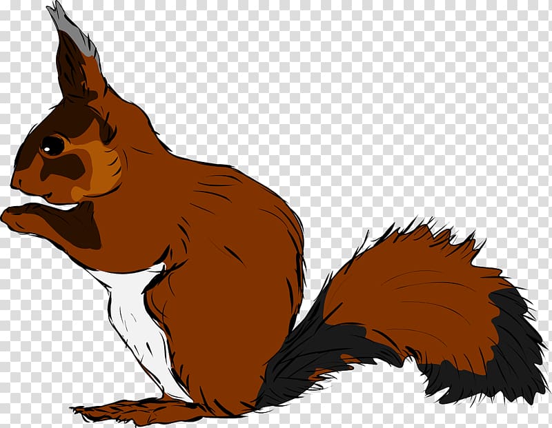Squirrel , Brown squirrel transparent background PNG clipart
