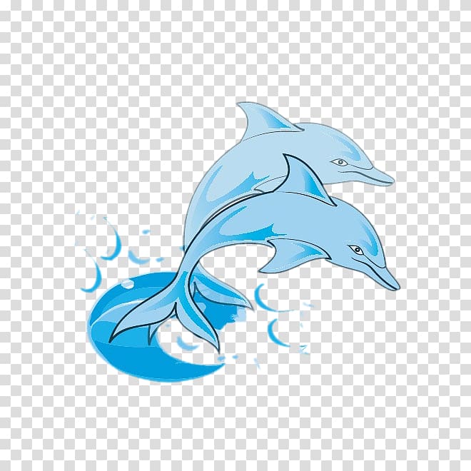 Bottlenose dolphin , Blue Dolphin transparent background PNG clipart