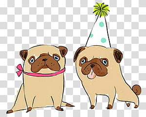 puppy transparent background PNG clipart thumbnail