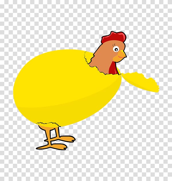 Chicken Duck Rooster Bird , Hatch transparent background PNG clipart