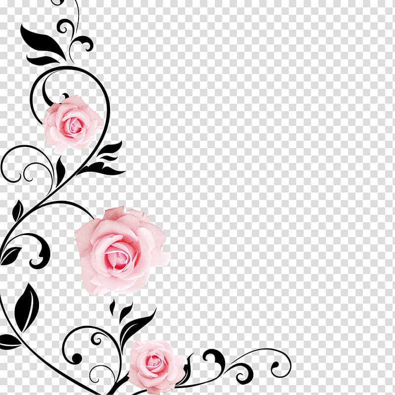 pink rose flowers , Wall Garden roses Drawing , Flowers transparent background PNG clipart