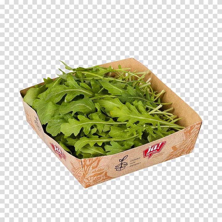 Spinach Spring greens Herb Leaf vegetable, rucola transparent background PNG clipart
