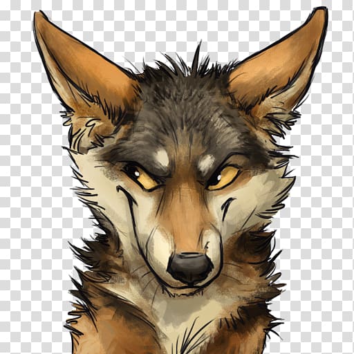 Coyote Telegram Sticker Gray wolf Messaging apps, coyote transparent background PNG clipart