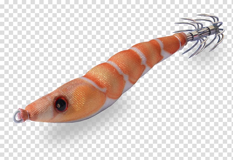 Squid Recreational fishing Poteira Fishing Baits & Lures, shrimps transparent background PNG clipart