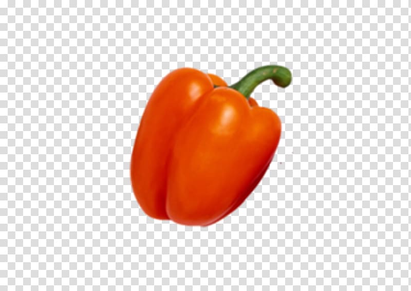 Habanero Bell pepper Cayenne pepper Tabasco pepper Vegetarian cuisine, Hand-painted pepper transparent background PNG clipart