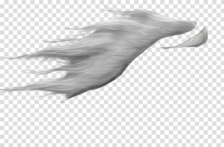 Horse Mane Drawing, Fantasy Wings transparent background PNG clipart