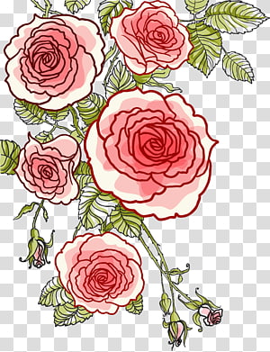 Rose Lace pattern backgrounds, rose drawings, png