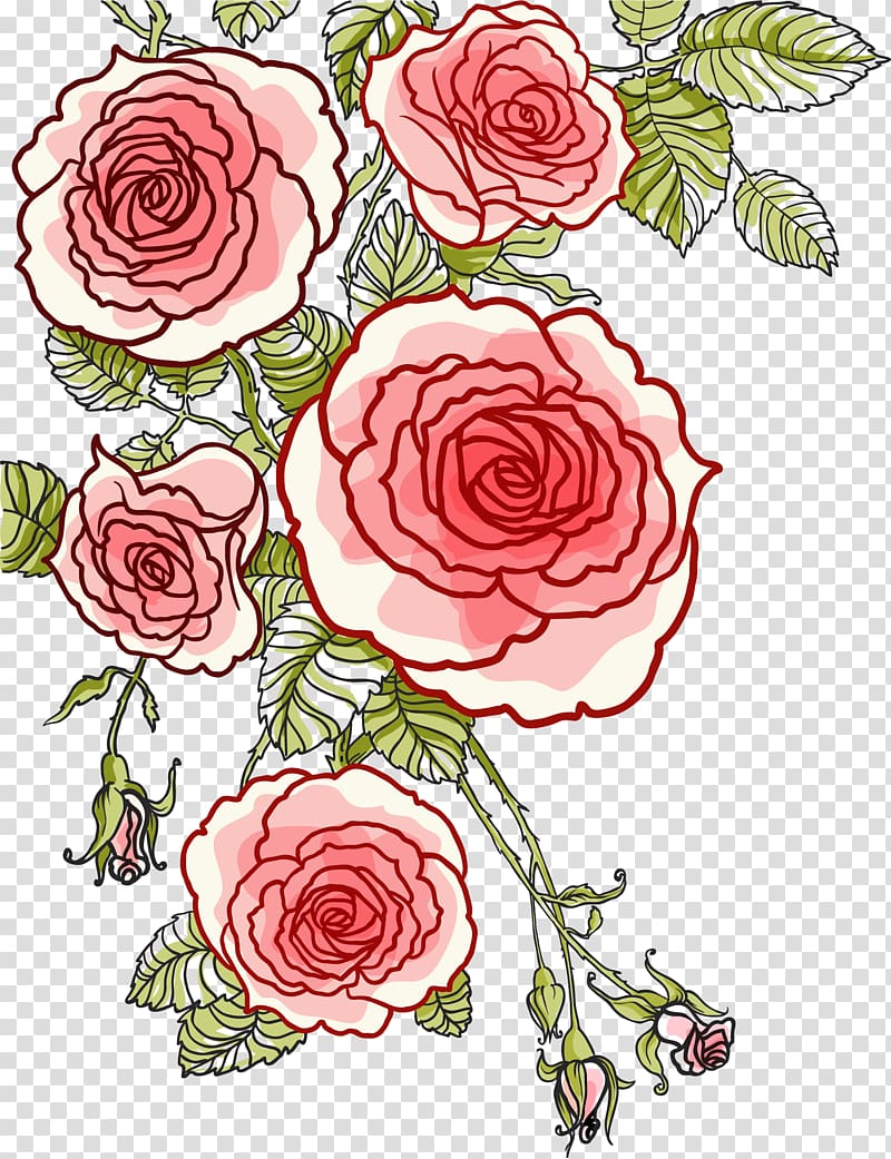 red flowers illustration, Rose Drawing, Hand painted roses transparent background PNG clipart