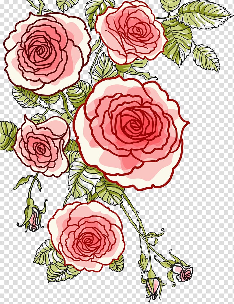 Red flowers illustration, Rose Drawing, Hand painted roses transparent ...