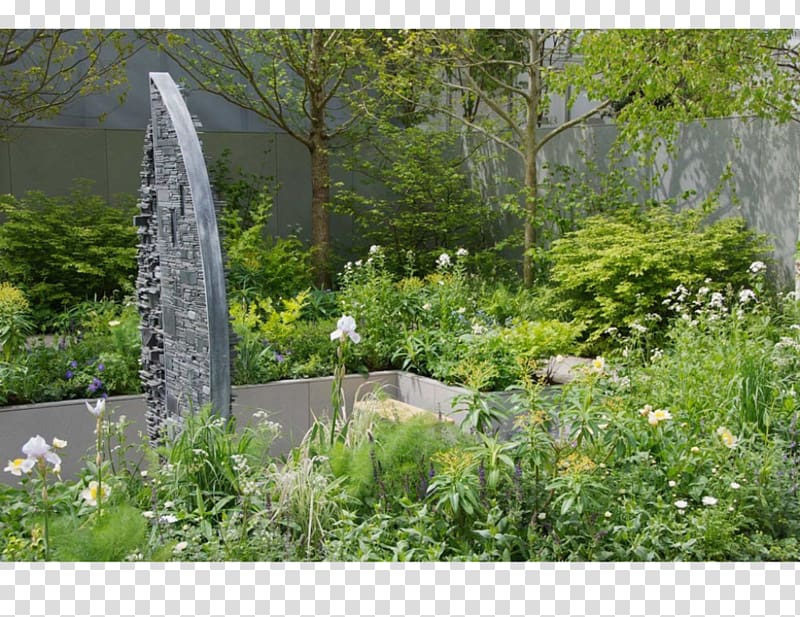 Chelsea Flower Show Backyard Garden, Ulmus Minor transparent background PNG clipart