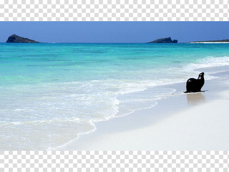 Caribbean Sea Beach Coast Ocean, sea transparent background PNG clipart