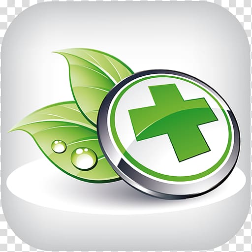 Kratom Green tea Herb Health, green tea transparent background PNG clipart