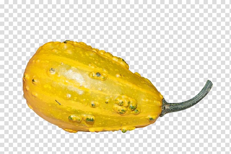 Calabaza Pumpkin Horned melon Gourd Winter squash, Yellow oval pumpkin transparent background PNG clipart