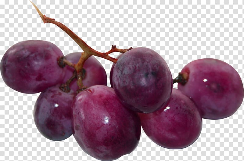 Grape Seedless fruit u042fu043du0434u0435u043au0441.u0424u043eu0442u043au0438 Auglis, a bunch of grapes transparent background PNG clipart
