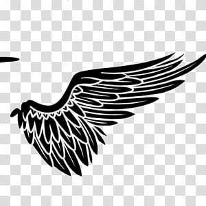 wing transparent background PNG clipart thumbnail