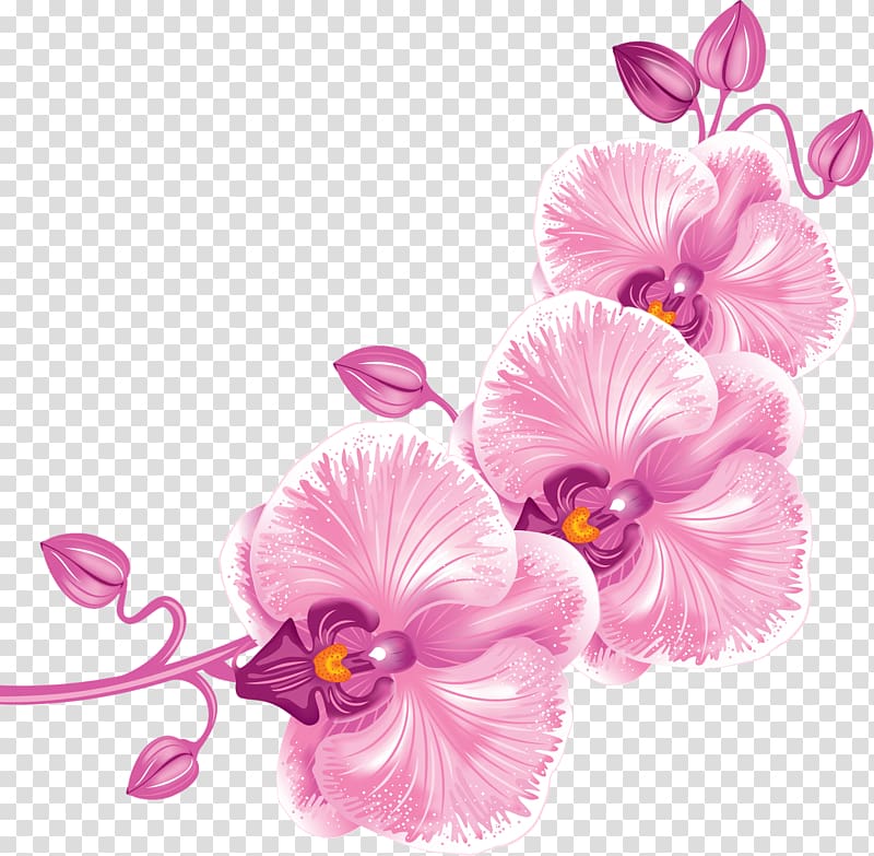 Moth orchids Orchidea , gazelle transparent background PNG clipart