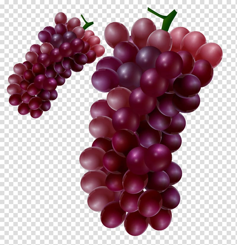 Grape seed extract Seedless fruit, grape transparent background PNG clipart