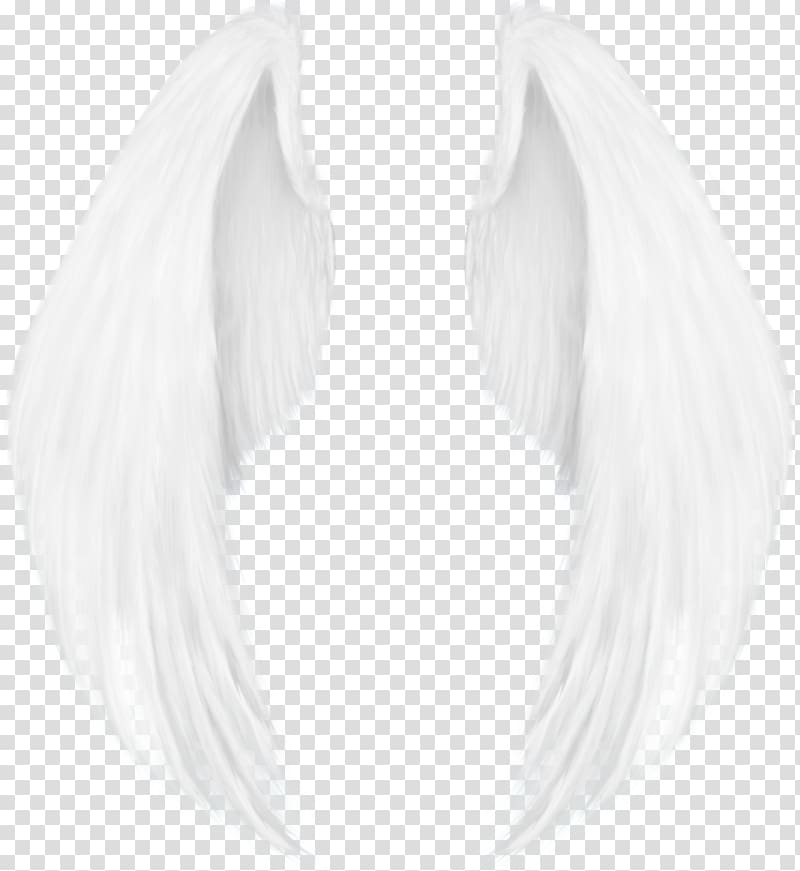 Spanish Por Si Preguntan Person Five Nights at Freddy\'s YouTube, angel wings transparent background PNG clipart