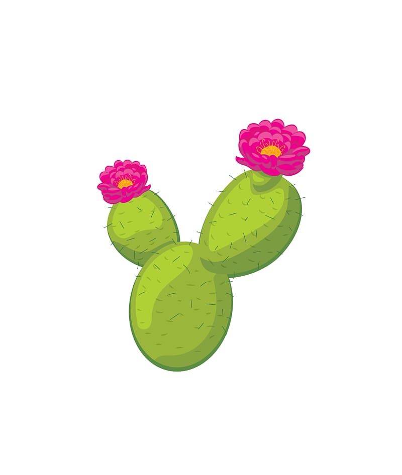 Cactaceae Flowering plant , cactus transparent background PNG clipart